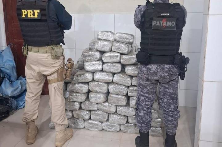 Ação conjunta da PRF em Rondônia e PMRO resulta na apreensão de mais de 180 kg de skunk em Cacoal