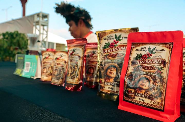 Café robusto da Amazônia ganha espaço e reconhecimento na 2° Edição da Agrotec