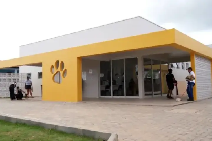 Clínica do Bem-Estar Animal de Porto Velho registra 6,6 mil atendimentos