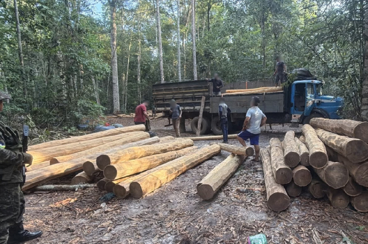 Polícia Ambiental apreende dois caminhões com madeira irregular em Vilhena