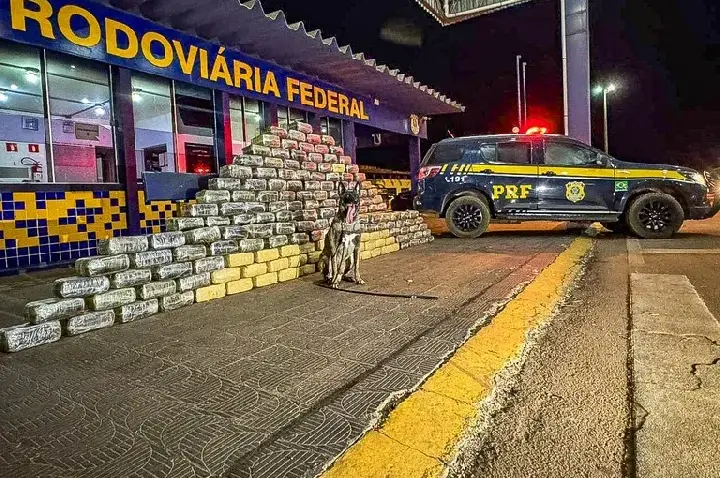 PRF apreende 540 kg de skunk em caminhão na BR-364