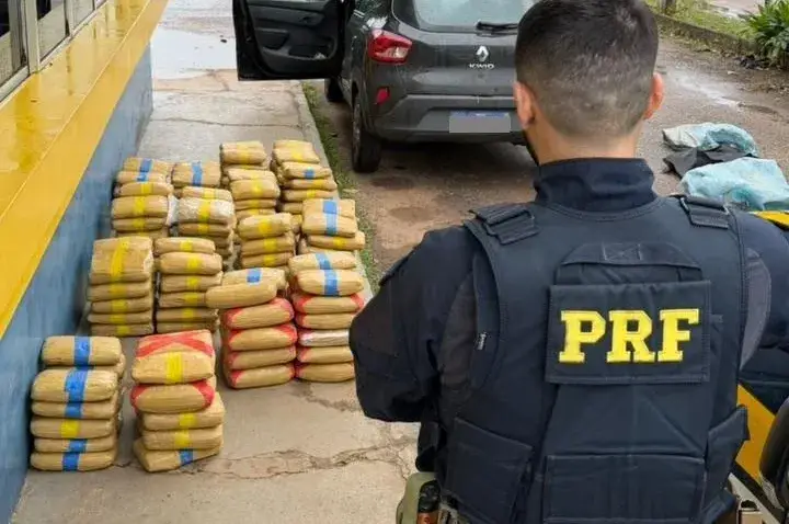PRF apreende quase 175 kg de skunk e prende dois homens na BR-364