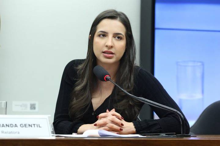 Projeto cria sistema para monitorar medidas protetivas e suspender porte de arma de agressor