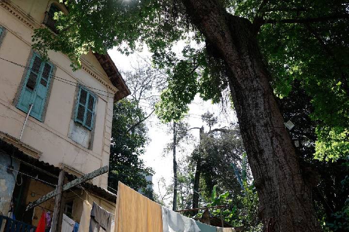 Quilombo urbano na zona sul do Rio guarda lições de resistência