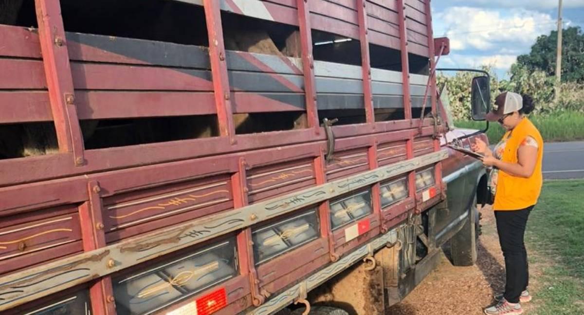 Rondônia lança campanha para fortalecer vigilância no trânsito agropecuário