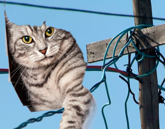 Energisa Rondônia registrou 282.829.800 kWh de energia furtada em 2024