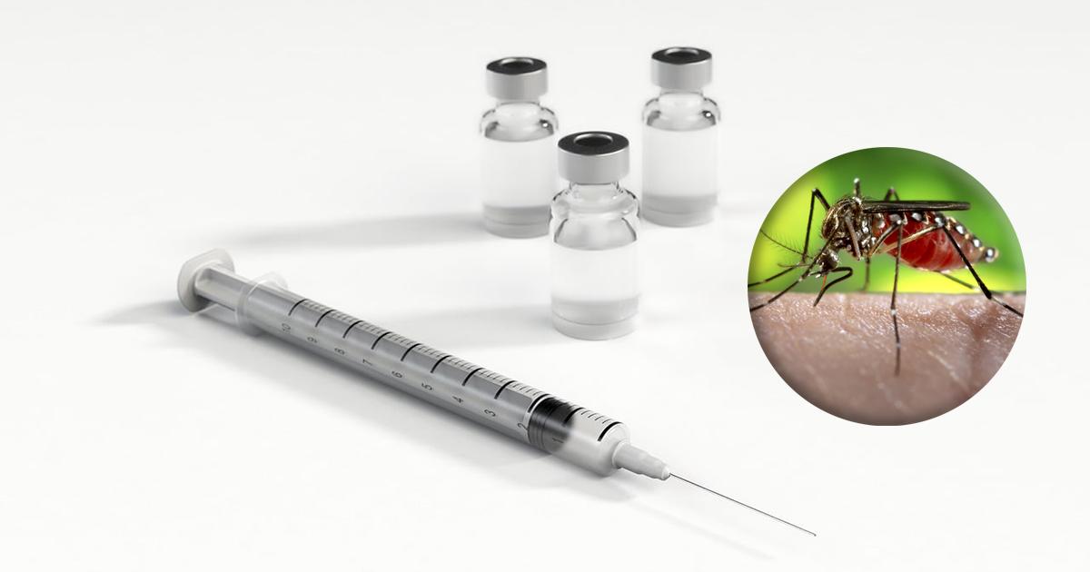 Vacina da dengue do Butantan está sob análise da Anvisa com previsão de disponibilidade em 2026