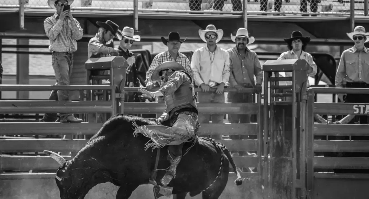 Assembleia de Rondônia vota hoje projeto que transforma rodeio em esporte oficial