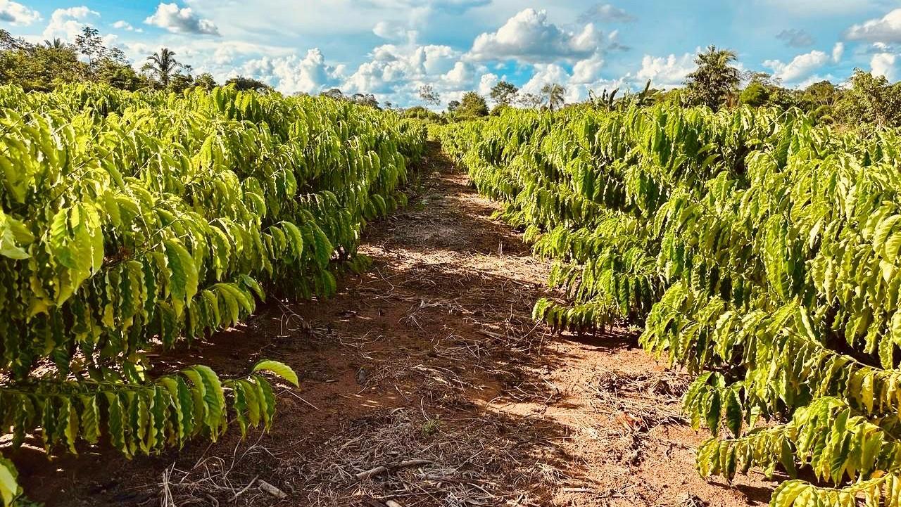 Cláudia de Jesus busca mais apoio à agricultura familiar em Presidente Médici e Ji-Paraná