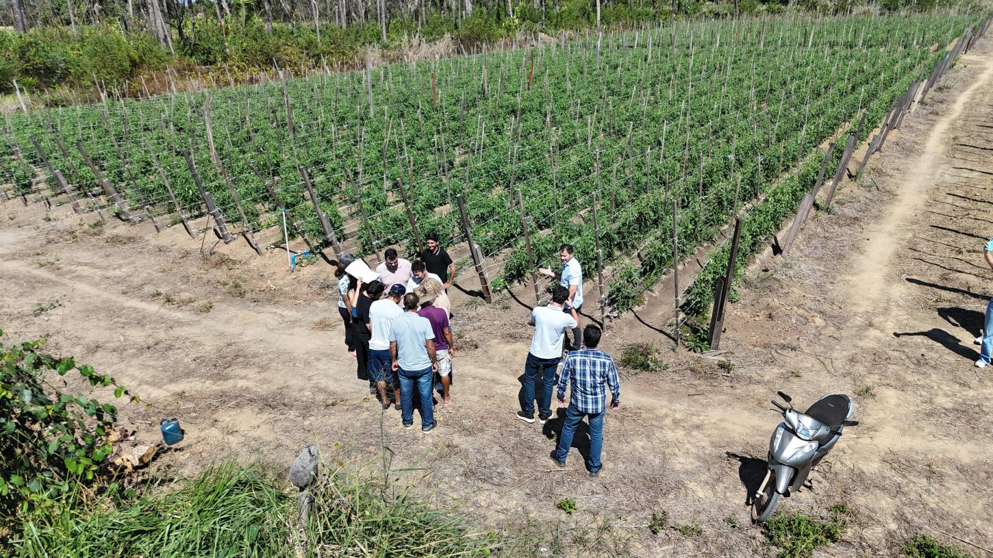 Vereador Nilton Souza reforça compromisso com o setor chacareiro e cobra avanço na regularização fundiária em Porto Velho