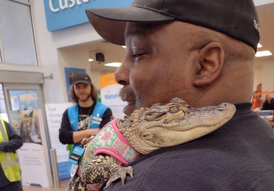 Jacaré de apoio emocional é barrado em mercado nos EUA