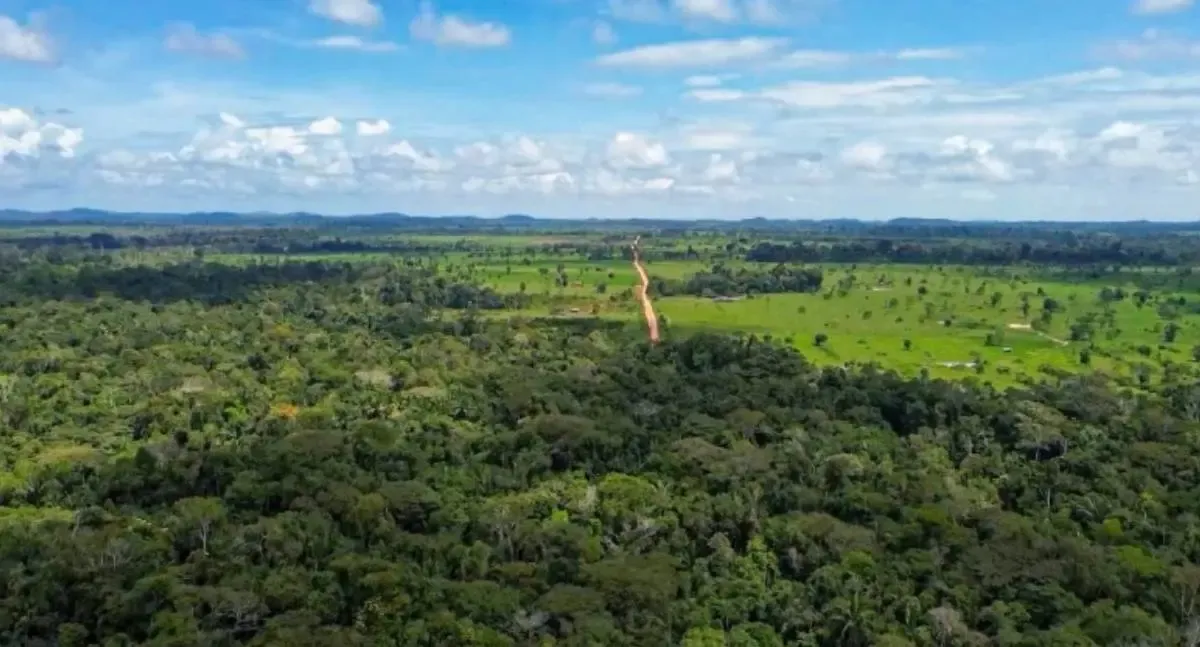 MPRO e Sedam firmam acordo para reforçar fiscalização ambiental