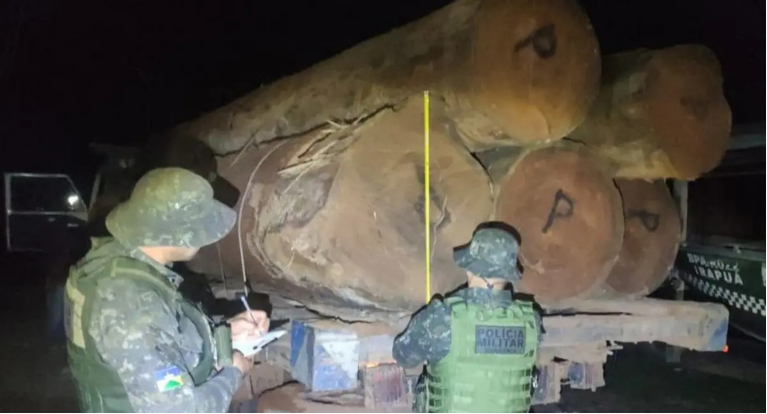 Polícia Ambiental apreende mais de 160 m³ de madeira e 11 caminhões em nova fase da operação em Rondônia