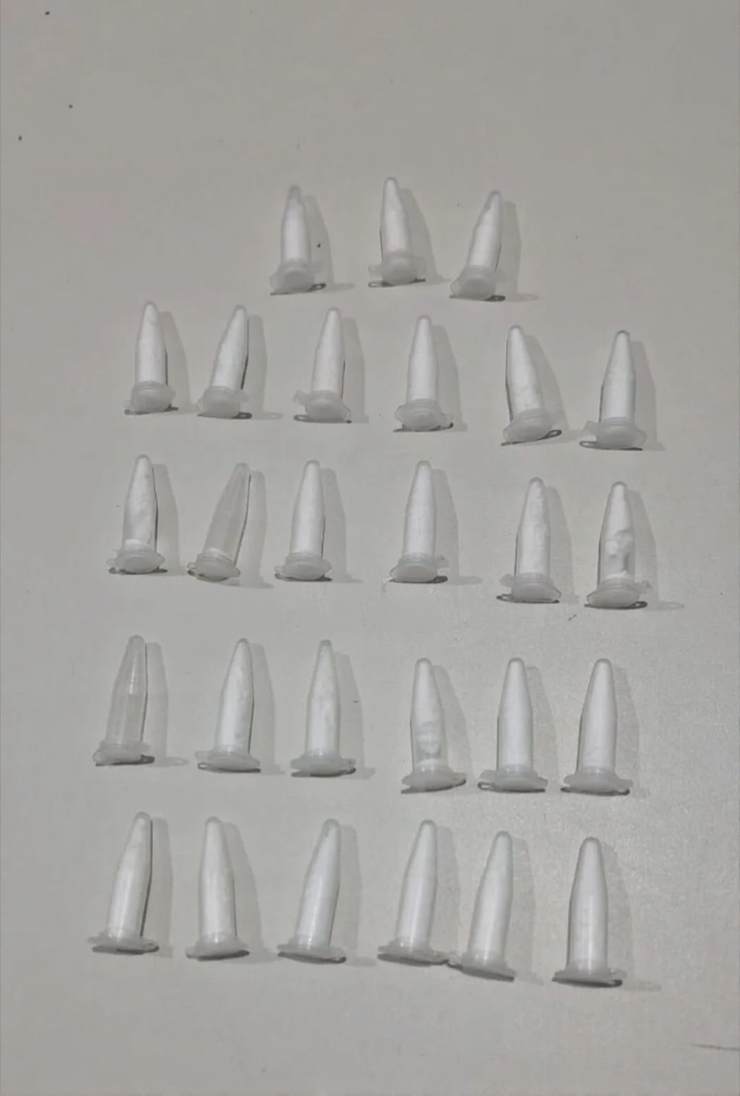 Homem é preso com 25 pinos de cocaína no Orgulho do Madeira