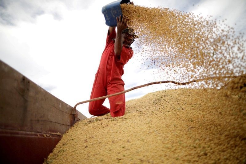 Brasil deve bater recorde de produção de soja em 2026