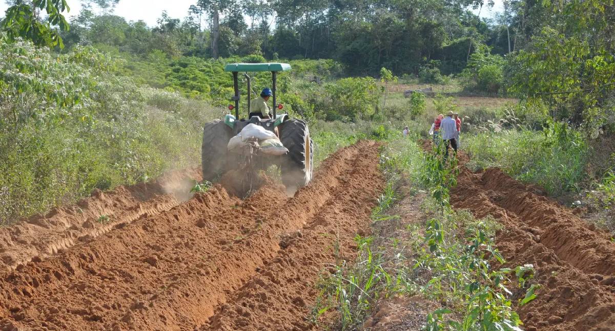 Dia do Agronegócio: Governo de RO reforça apoio ao setor