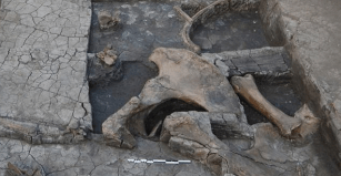 Ferramenta de madeira mais antiga servia para abate de elefantes na Grécia