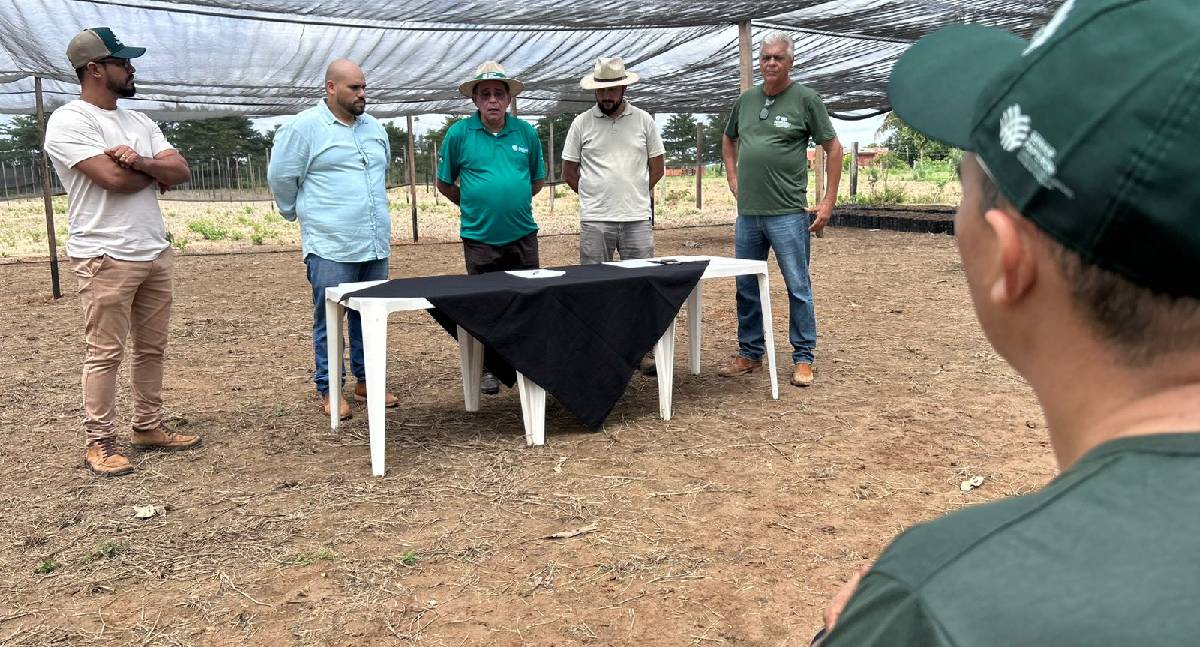 Fomenta Cacau: acordo amplia mudas em Porto Velho