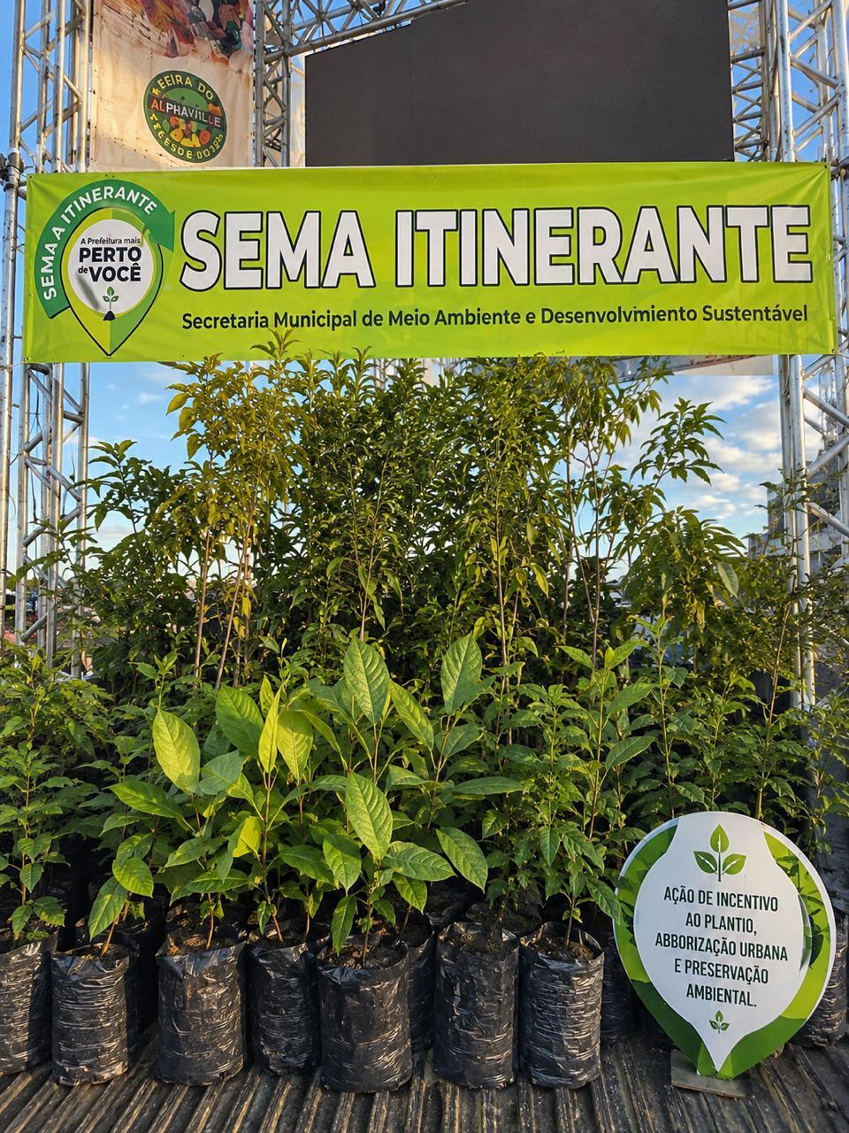 Semana do Meio Ambiente distribui mais de mil mudas à população